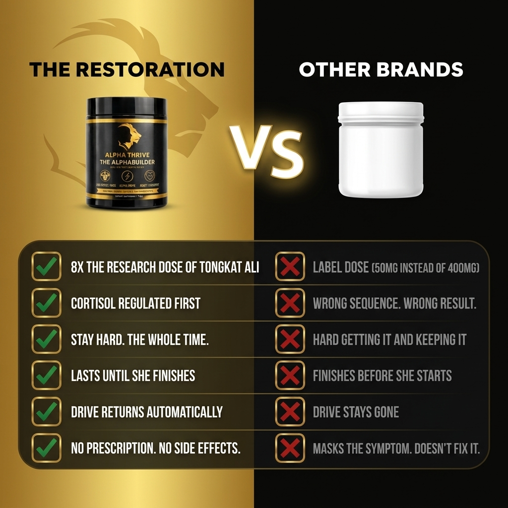 THE PERFORMANCE RESTORATION | SUPPORT THAT MAKES THE DIFFERENCE